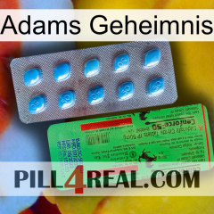 Adams Secret new03